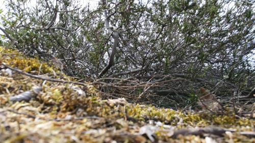 Thiers [14-05-2022](0709).jpg